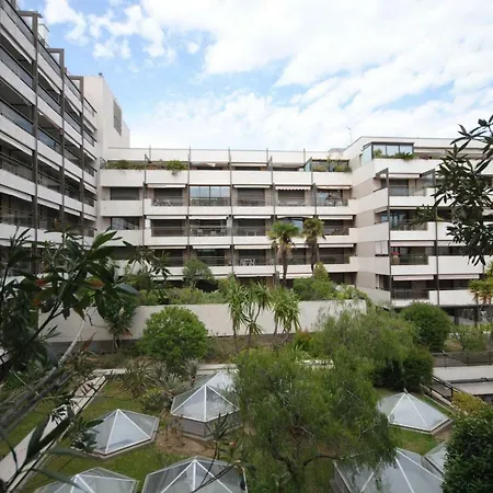 Gray D'albion Vim1163 *